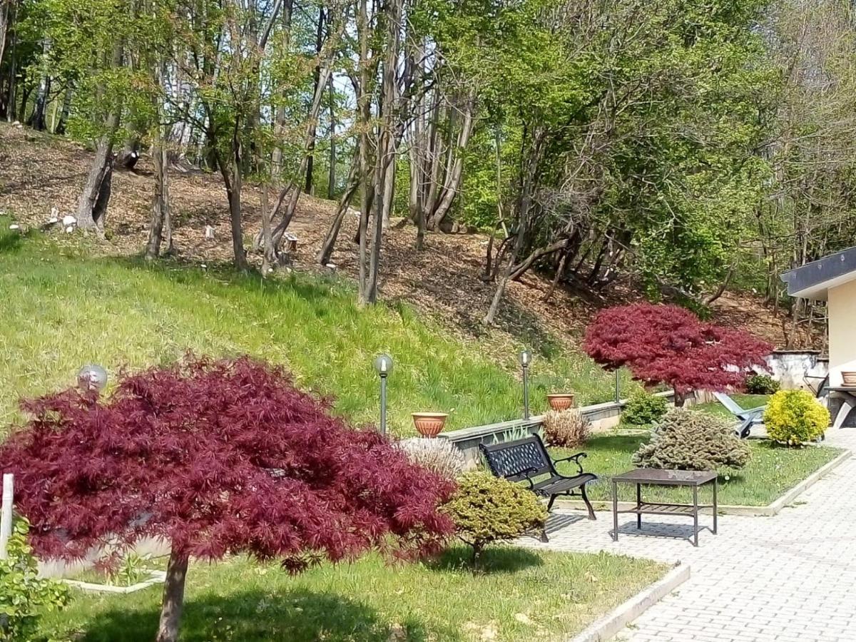 Appartamento La Casa Nel Bosco Rueglio Extérieur photo